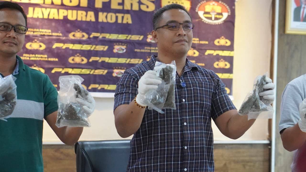 Ilustrasi berita Opini: Dalam Semalam, Tim Opsnal Narkoba Polresta Jayapura Kota Ungkap Tiga Kasus Ganja