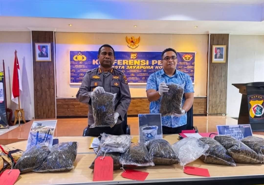 Ilustrasi berita Opini: Tangkapan Besar 2026! Polresta Jayapura Kota Sita 8,3 Kg Ganja, Satu Tersangka Dibekuk