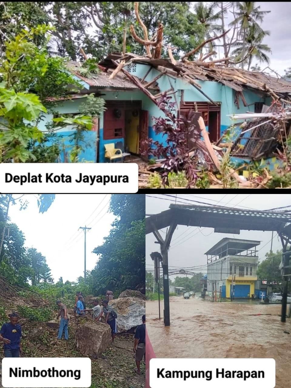 Ilustrasi berita Papua: Longsor Putus Akses Jalan di Nimbontong, Pohon Tumbang Timpa Dua Rumah Warga Kota Jayapura