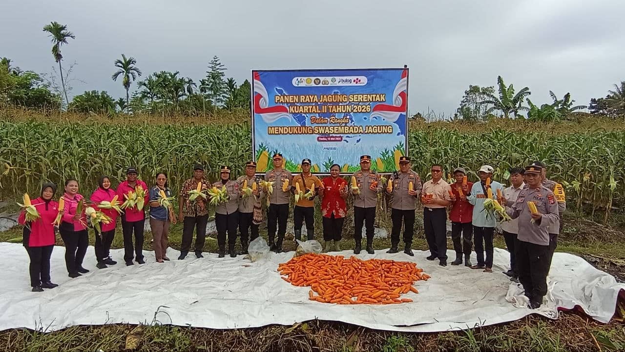 Ilustrasi berita Mimika: Polres Mimika Panen Raya Jagung Kuartal II, Serentak Seluruh Indonesia