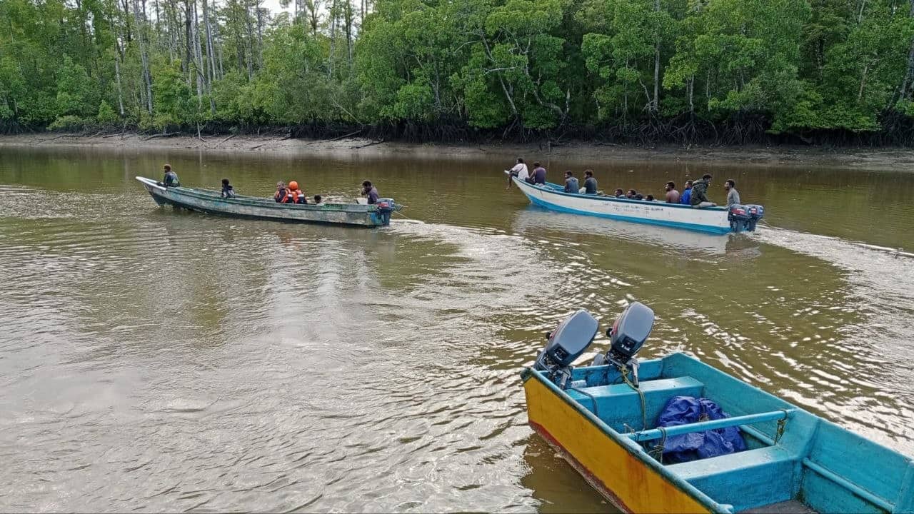 Ilustrasi berita Mimika: Tim SAR dan Keluarga Cari Buaya Pemakan Manusia di Semak-semak Pinggir Sungai Ninapu Mimika