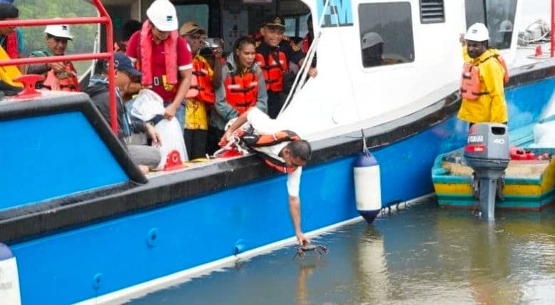 Ilustrasi berita Mimika: Dinas Perikanan Mimika Bangun Tempat Pembesaran Kepiting