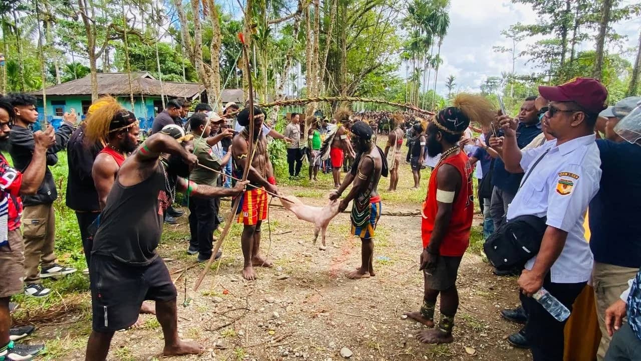 Prosesi adat panah babi menandai berakhirnya konflik keluarga di Distrik Kwamki Narama, Kabupaten Mimika, Rabu (24/6).