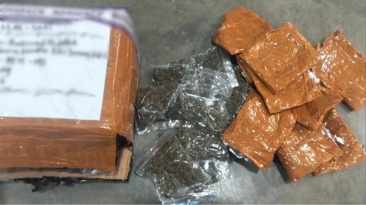 Barang bukti ganja yang berhasil diamankan