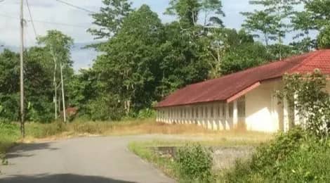 Pendidikan