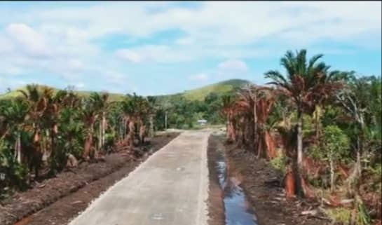 Hutan sagu