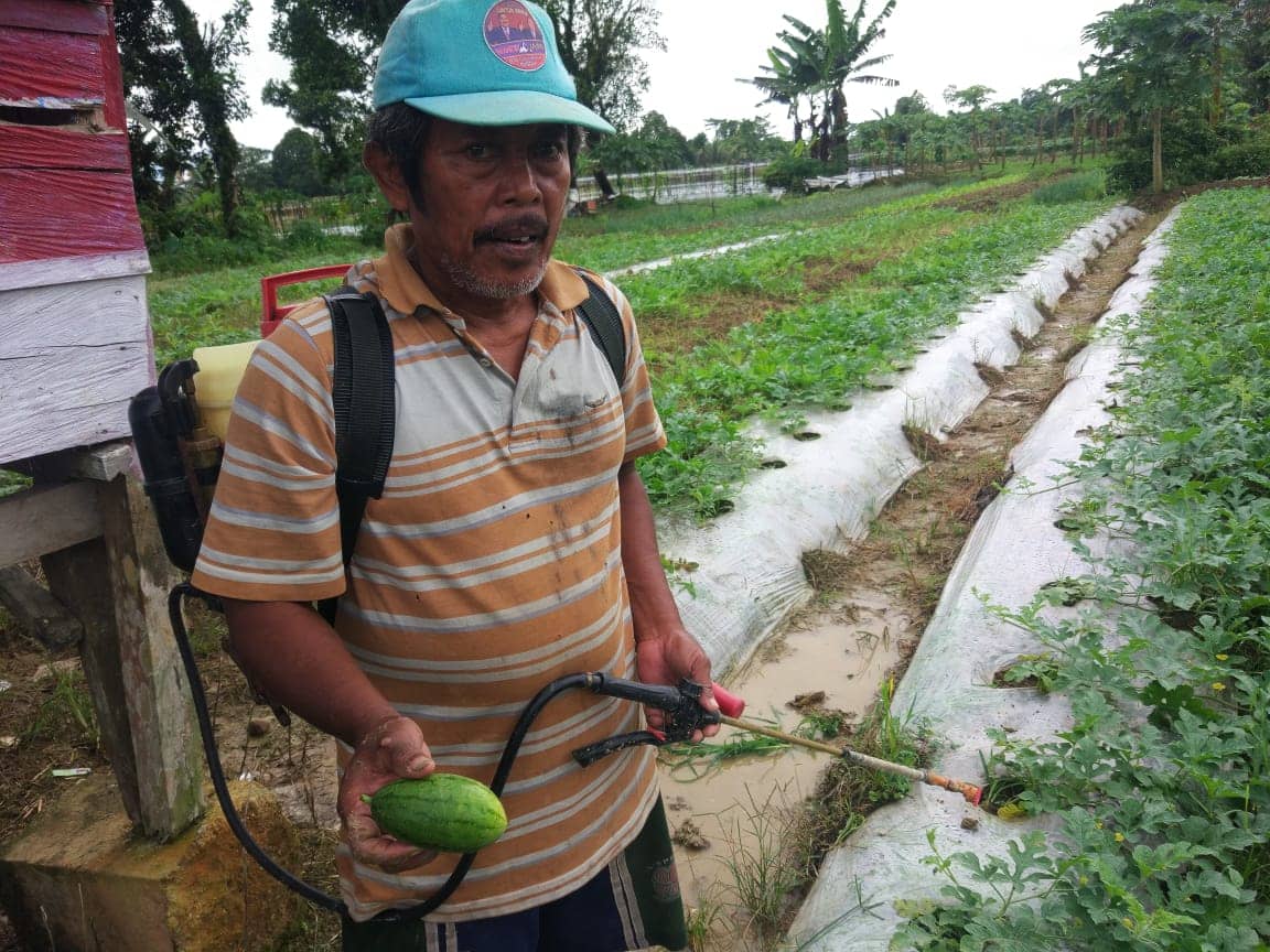 Sultan di kebun miliknya