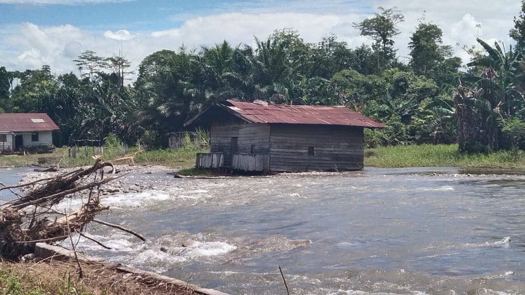 Rumah Banjir di Trans Nabire