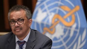 WHO Pastikan Risiko Hantavirus di Tenerife Rendah, Bukan Covid