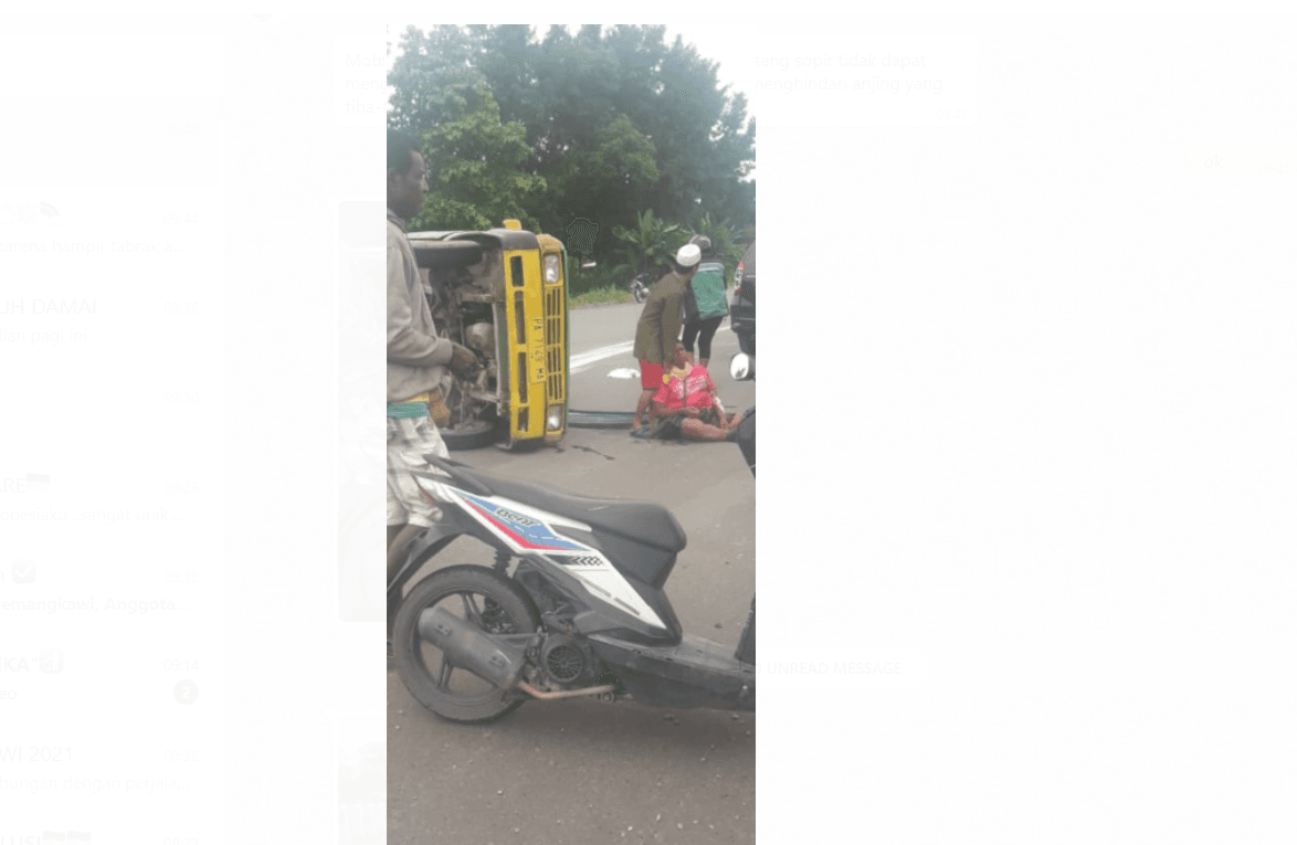 Ilustrasi berita MIMIKA: Flash News : Hindari Anjing, Toyota Kijang Terbalik di Kompleks Waker Hasanudin