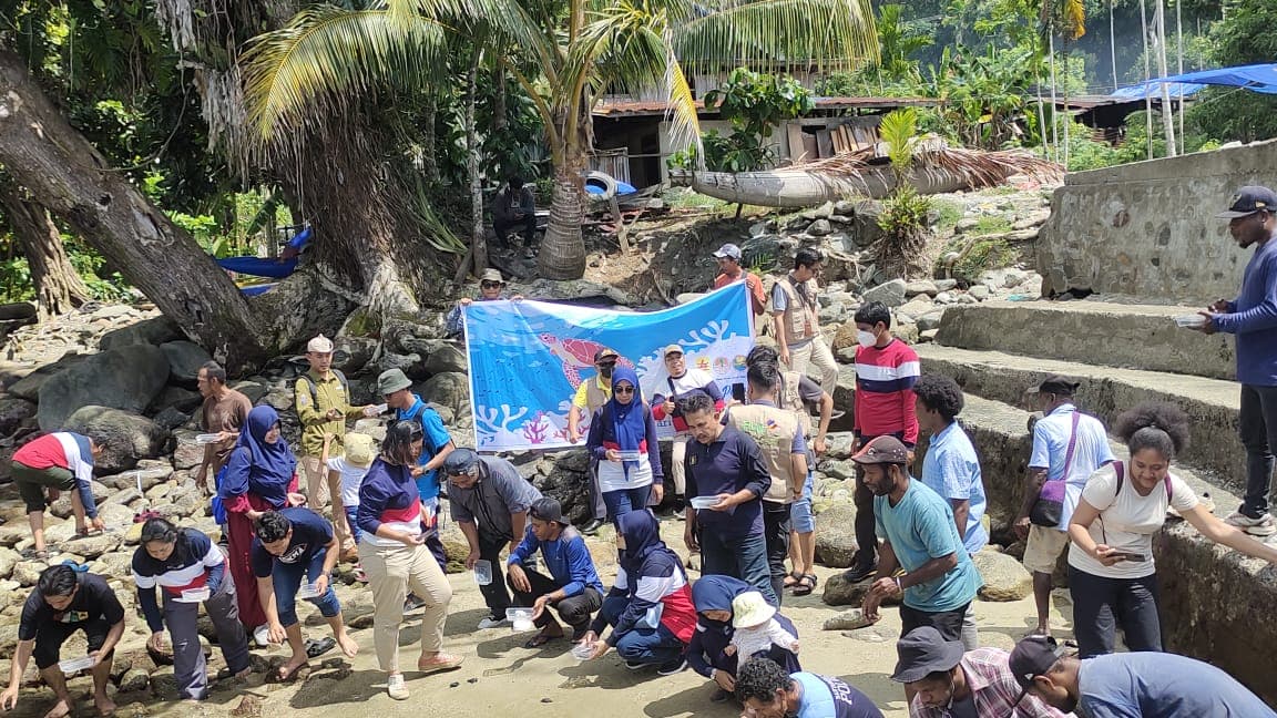 Ilustrasi berita PAPUA: BBKSDA Papua Bersama PLN Melepasliarkan 20 Ekor Penyu Lekang di Pantai Marekisi Depapre