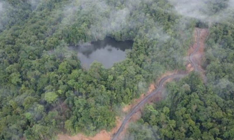 Ilustrasi berita PAPUA: Aktivitas Pembuatan Jalan Untuk Penebangan Kayu PT WS Hancurkan Tempat Sakral, Warga Kuri Palang Jalan