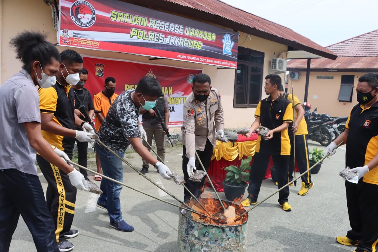 Ilustrasi berita MIMIKA: Polres Jayapura Musnahkan Ganja Seberat 1 Kilogram