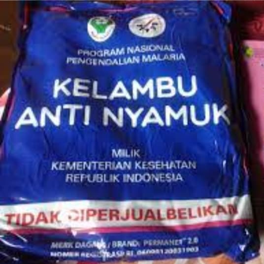 Ilustrasi berita NASIONAL: Kelambu Berinsektisida untuk Pencegahan Malaria