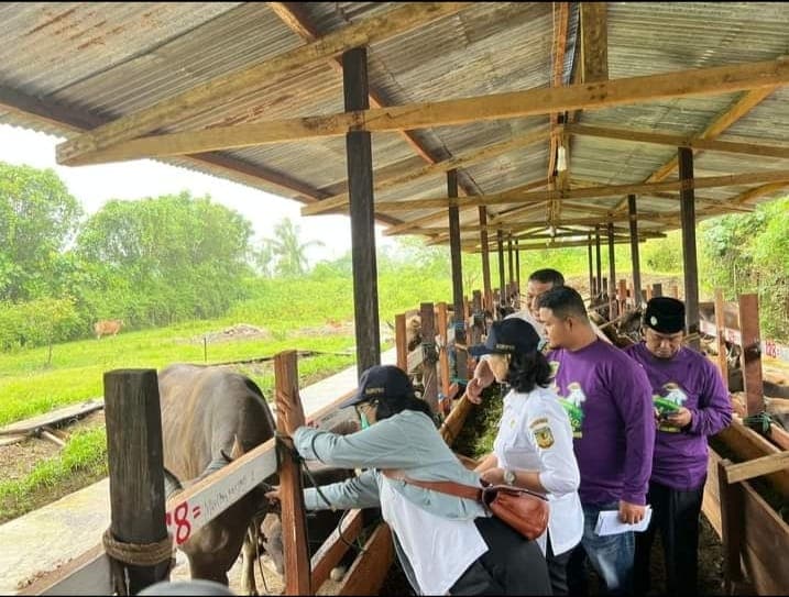 Ilustrasi berita MIMIKA: Jelang Idul Adha 1443 H, Organisasi Islam dan Dinas Pertenakan Kabupaten Gelar Pemeriksaan Antemortem Hewan Kurban