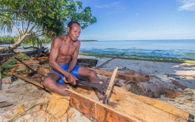 Ilustrasi berita PAPUA: 7.500 Hektare Hutan Sagu Jadi Cadangan Pangan di Sorong Selatan, Blue Forest Latih Warga Nayaro Produksi Tepung