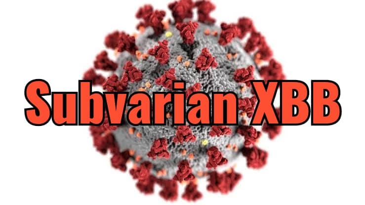 Ilustrasi berita MIMIKA: Simak 11 Gejala Varian Omicron XBB yang Sudah Terdeteksi di Mimika, Lebih Mudah Menular