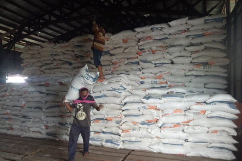 Ilustrasi berita MIMIKA: Sudah Dua Bulan Ini Merauke Hentikan Pengiriman Beras ke Timika, Stok Beras Bulog Tersisa 125 Ton