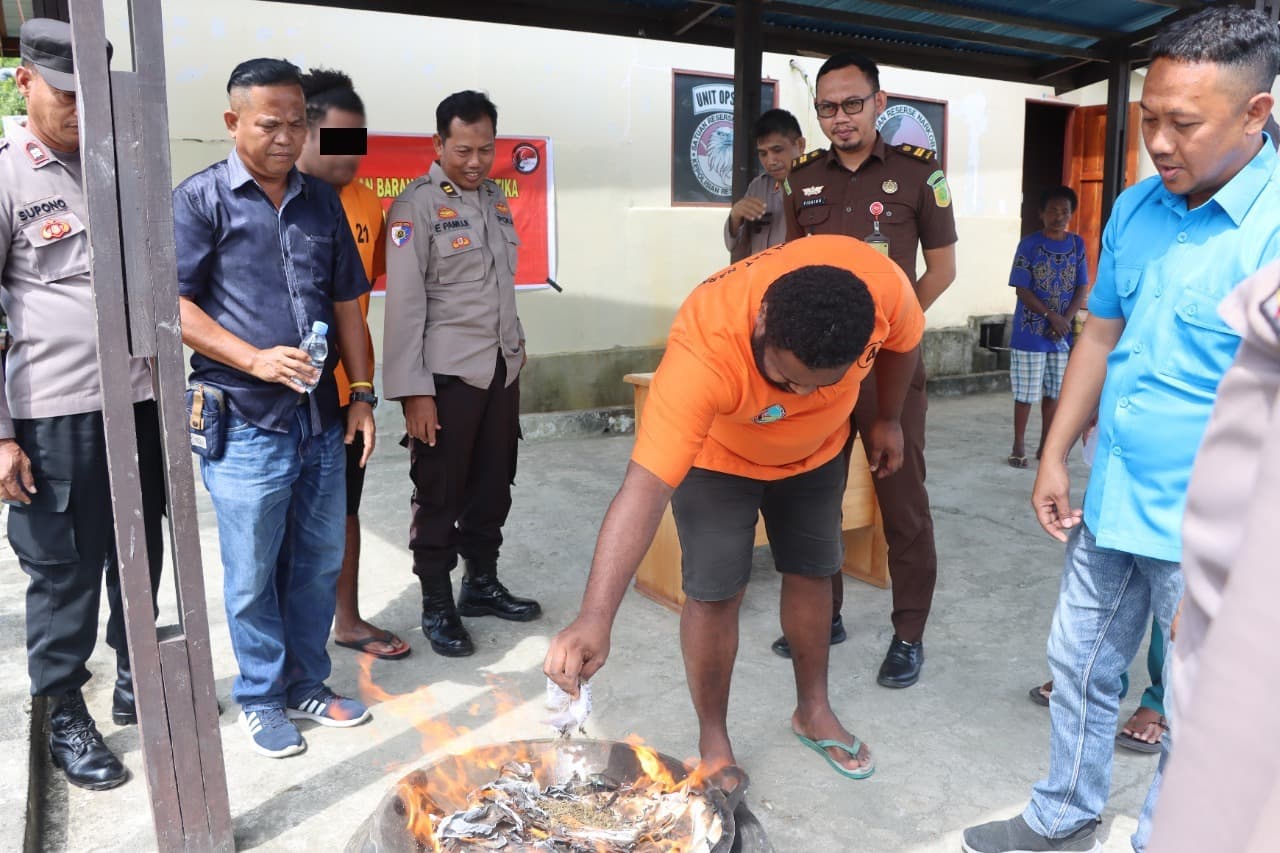 Ilustrasi berita PAPUA: Ibukota Papua Tengah Mulai Disentuh Narkoba, Polres Nabire Musnahkan Ganja Seberat 26,10 Gram