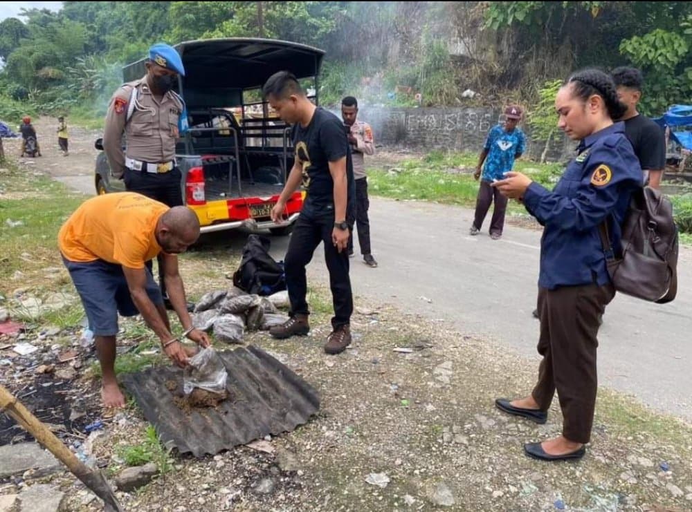 Ilustrasi berita Jayapura: Polisi Musnahkan 8 Kilogram Ganja Milik WNA, Pelaku Terancam 20 Tahun Penjara