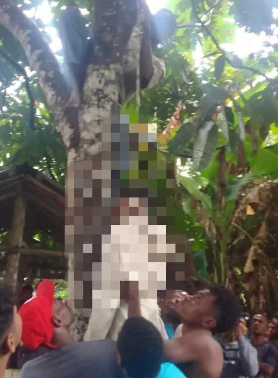 Ilustrasi berita MIMIKA: Seorang Remaja SMP Ditemukan Gantung Diri di Atas Pohon di Kampung Kaugapu Timika
