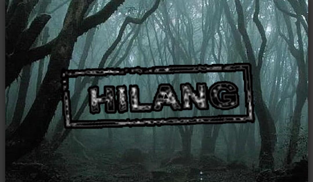 Ilustrasi berita MIMIKA: Breakingnews : Berniat Mencari Pemburu yang Hilang, 5 Warga Tersesat di Hutan Iwaka