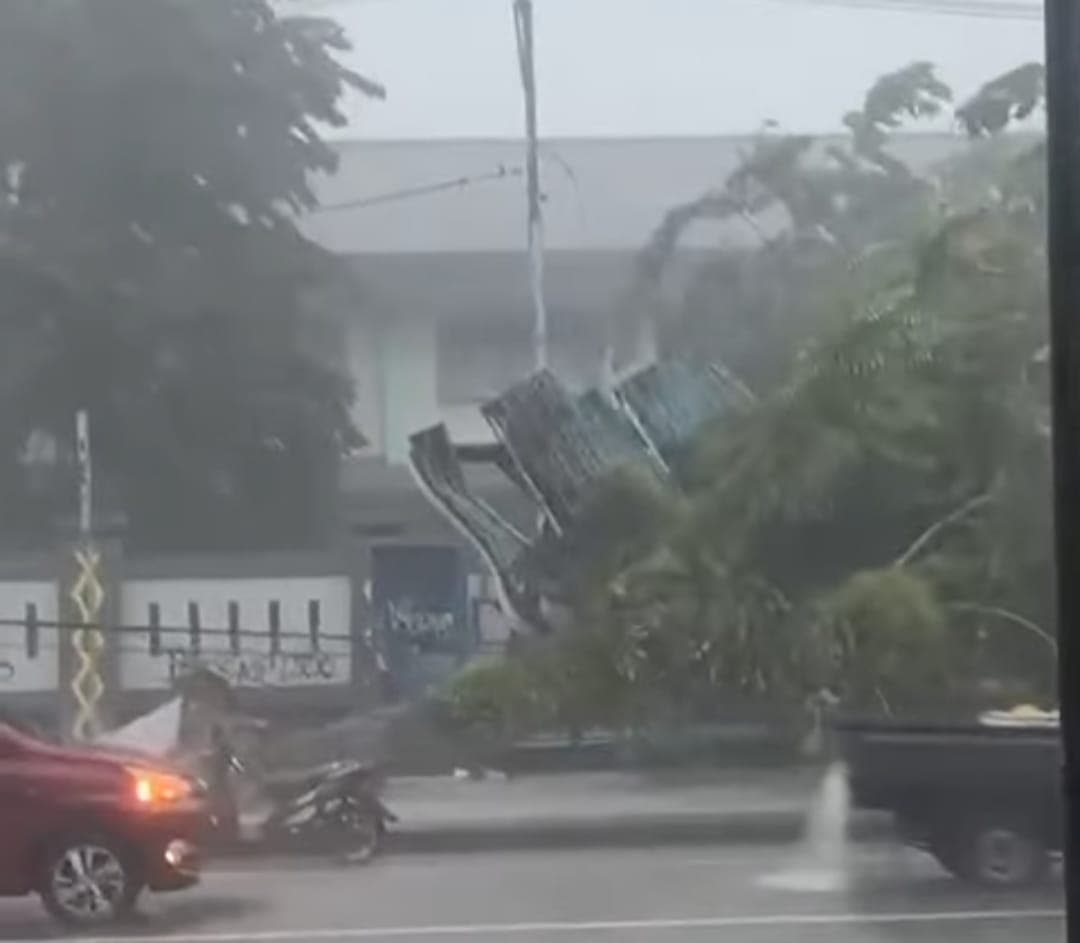 Ilustrasi berita MIMIKA: Breaking News : Hujan Angin Kencang, Halte Bus di Depan SMP Negeri 2 Mimika Roboh Tertimpa Pohon
