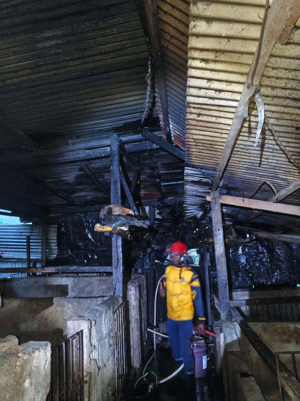 Ilustrasi berita MIMIKA: Satu Unit Rumah di Area Busiri Ujung Timika Ludes Terbakar