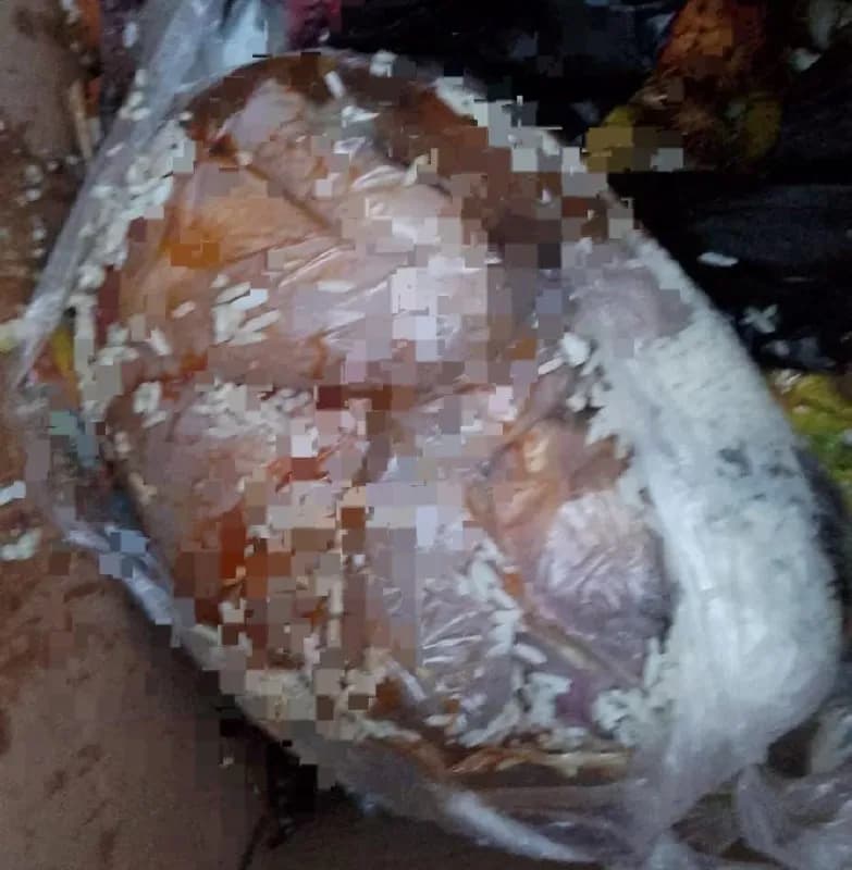 Ilustrasi berita Mimika: Jasad Bayi Ditemukan Terbungkus Plastik di Tumpukan Sampah Kantor DLH Lama Timika