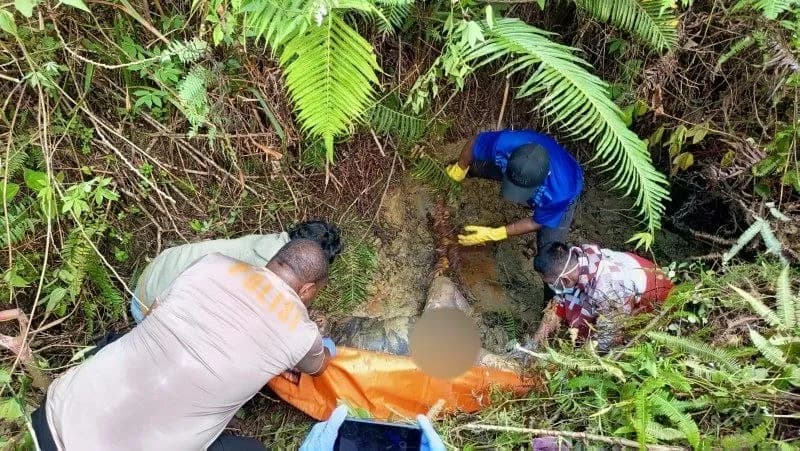 Ilustrasi berita Mimika: Pria yang Fotonya Viral dengan Anak Panah Tertancap Ditemukan Sudah Membusuk di Hutan Kali Wania