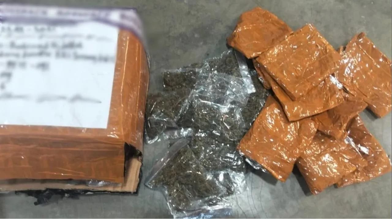 Ilustrasi berita JAYAPURA: Satgas Pasgat Gagalkan Penyelundupan 670 Gram Ganja dari Bandar Sentani Tujuan Sorong