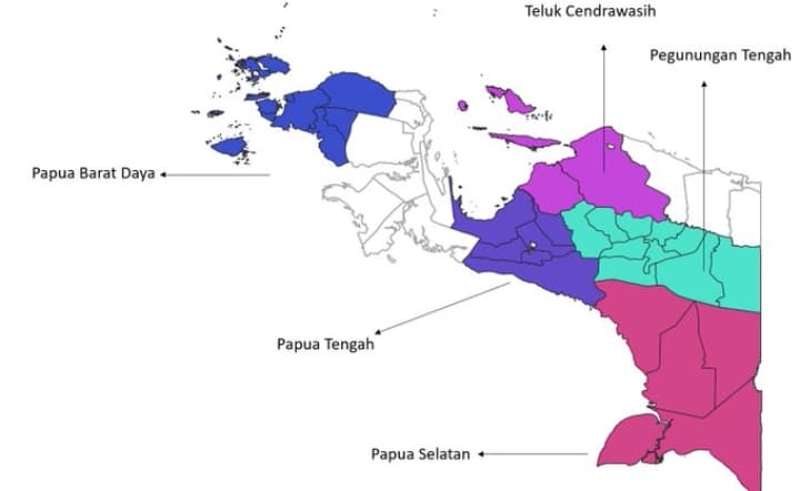 Ilustrasi berita Papua: Mengenal Sejarah dan Asal-usul Nabire, Ibukota Provinsi Papua Tengah yang Baru Disahkan