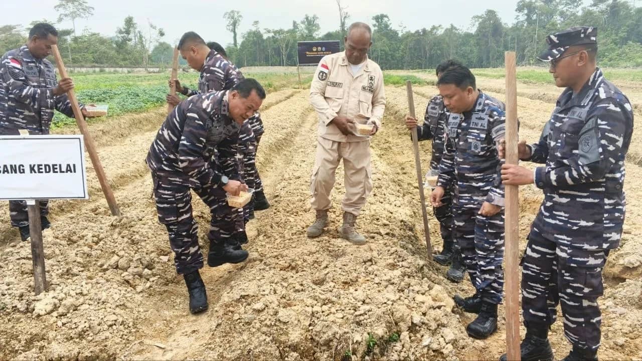 Dankodaeral XI Merauke, Laksda TNI Joko Andriyanto saat melakukan peninjauan dan penanaman kedelai di lahan Lanal Timika, Senin (7/9).