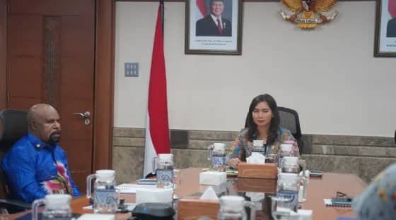 Ilustrasi berita JAYAPURA: Bupati Jayapura Presentasikan Pengembangan Pariwisata dan Festival Danau Sentani di Hadapan Wakil Menteri Pariwisata RI