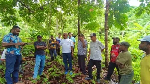 Ilustrasi berita JAYAPURA: Bupati Jayapura Tinjau Pembangunan Jalan Yongsu Sapari – Yongsu Desoyo