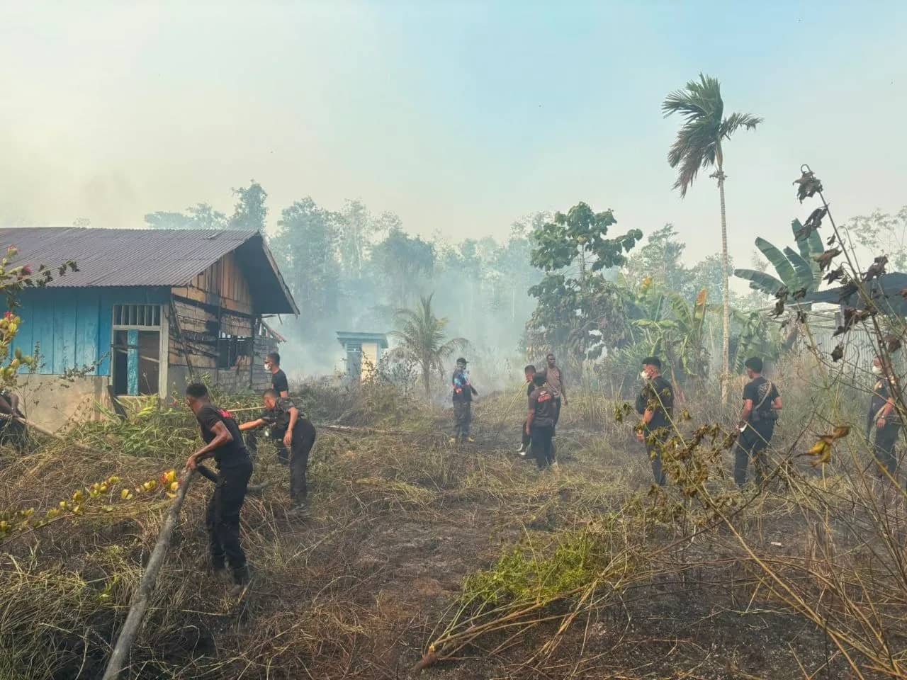 Ilustrasi berita Papua Tengah: Polda Papua Tengah Kirim Tim Padamkan Kebakaran Hutan di Nabire Barat