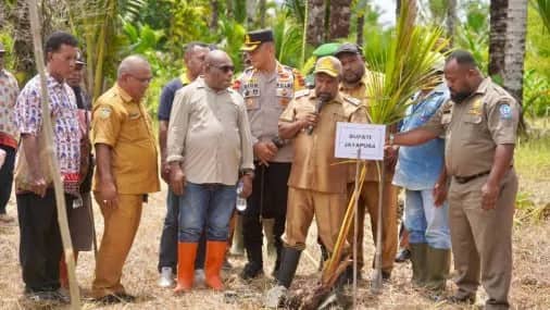 Ilustrasi berita JAYAPURA: Bupati Jayapura Canangkan Penanaman 1.000 Pohon Sagu oleh PKB GKI Klasis Sentani