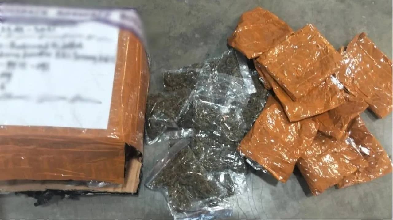 Ilustrasi berita JAYAPURA: Satgas Pasgat Gagalkan Penyelundupan 670 Gram Ganja dari Bandar Sentani Tujuan Sorong