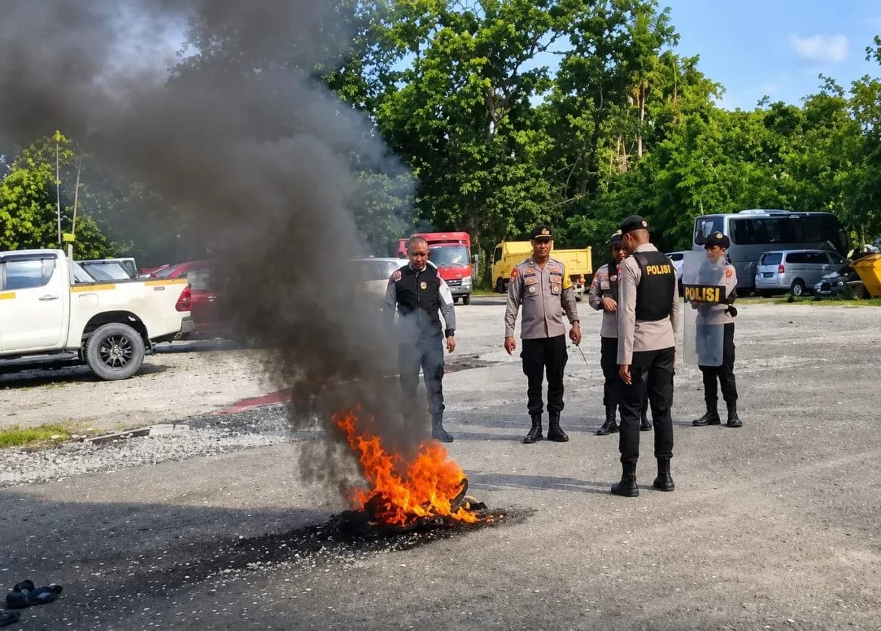 Ilustrasi berita Mimika: PO Daging Ayam Beku Dialihkan ke Pengusaha Jakarta, Peternak Lokal Bakar Ban di Kuala Kencana