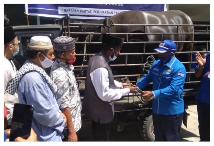 Bantuan Sapi
