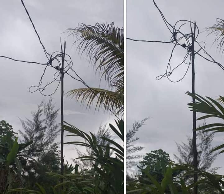 PLN