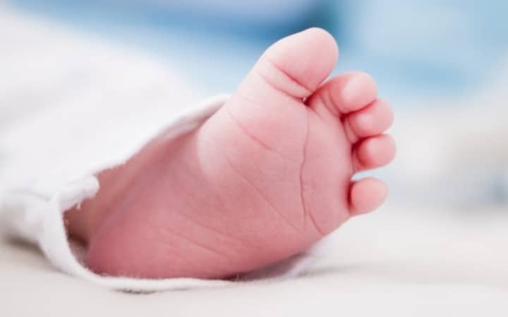 Ilustrasi berita LIFESTYLE: Kabar Gembira, akan Ada Lebih dari 370.000 Bayi Mungil "Buah" Tahun Baru
