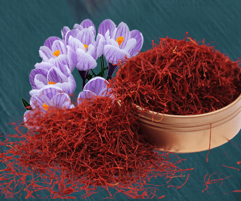 Ilustrasi berita Kesehatan: Saffron Yang Berguna Untuk Diet Tapi Jarang Dikenal
