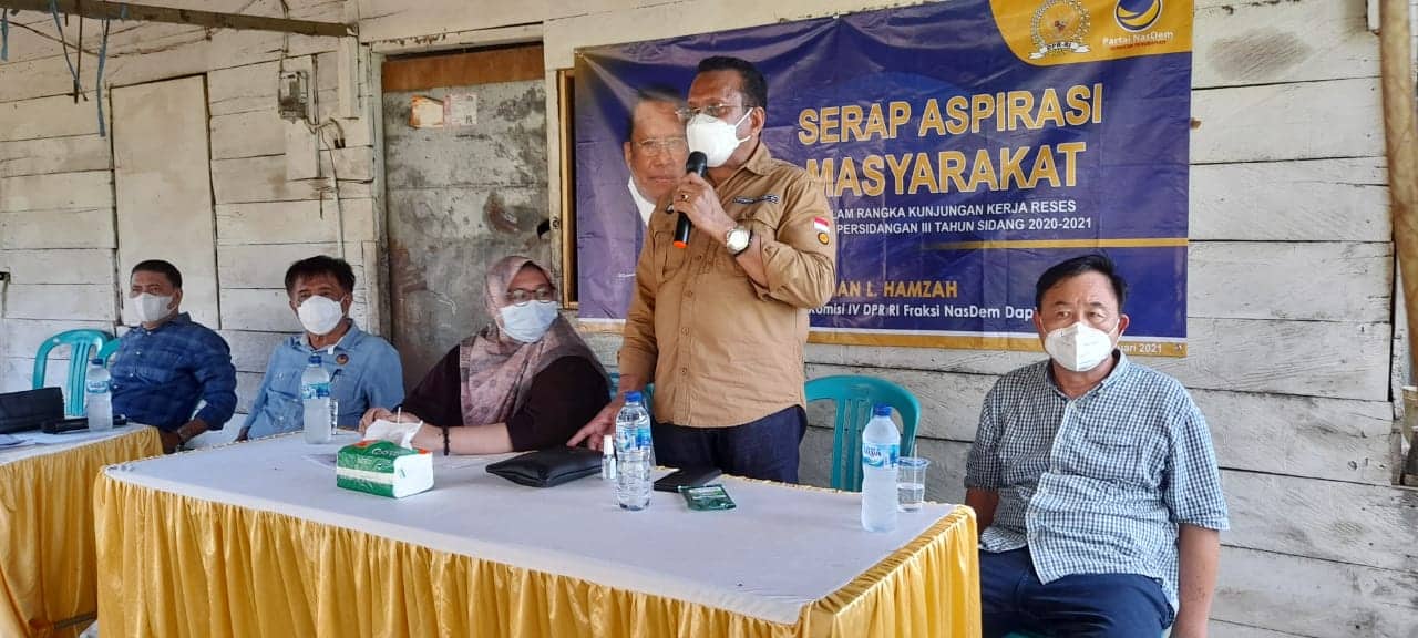 Ilustrasi berita Papua: Merauke Basis Pertanian Nasional, Suleman Hamzah: Harus Tetap Diperjuangkan