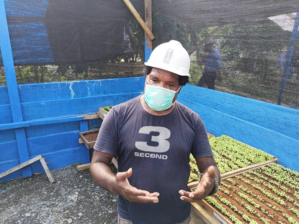 Ilustrasi berita LIFESTYLE: Okto Magai, Pegawai PTFI yang Sukses Ciptakan Perkebunan Hidroponik, Berhasil Pekerjakan 50 Karyawan