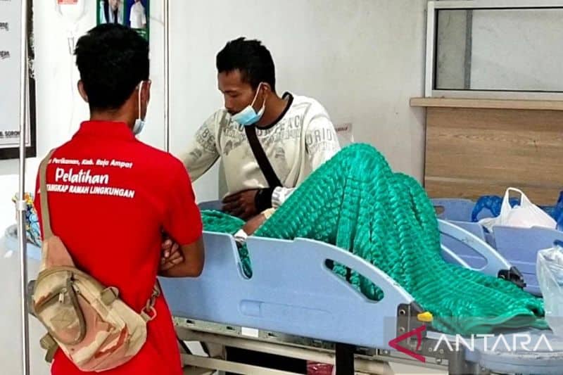 Ilustrasi berita Papua: Karyawan Vendor PLN Kesetrum Saat Berbaikan Aliran Listrik di Sorong