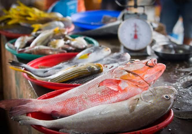 Ilustrasi berita BERITA UTAMA: Loka POM Mimika : Kasus Ikan yang Dibubuhi Pewarna Sangat Berbahaya Bagi Masyarakat, Siapkan Lab Keliling