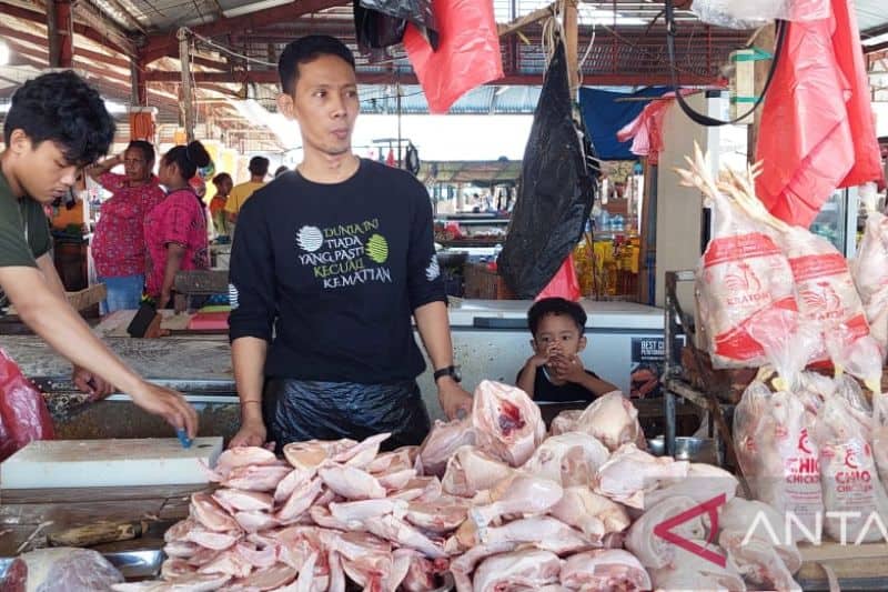 Ilustrasi berita Mimika: Daging Sapi di Timika Dijual Rp135.000 per Kilogram