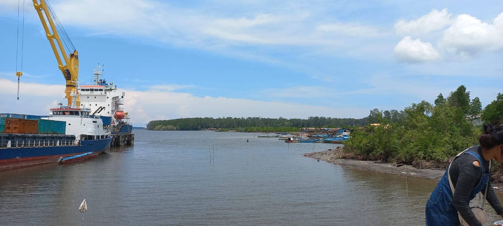 Tanah kawasan Pelabuhan Pomako yang marak diklaim pihak swasta.
