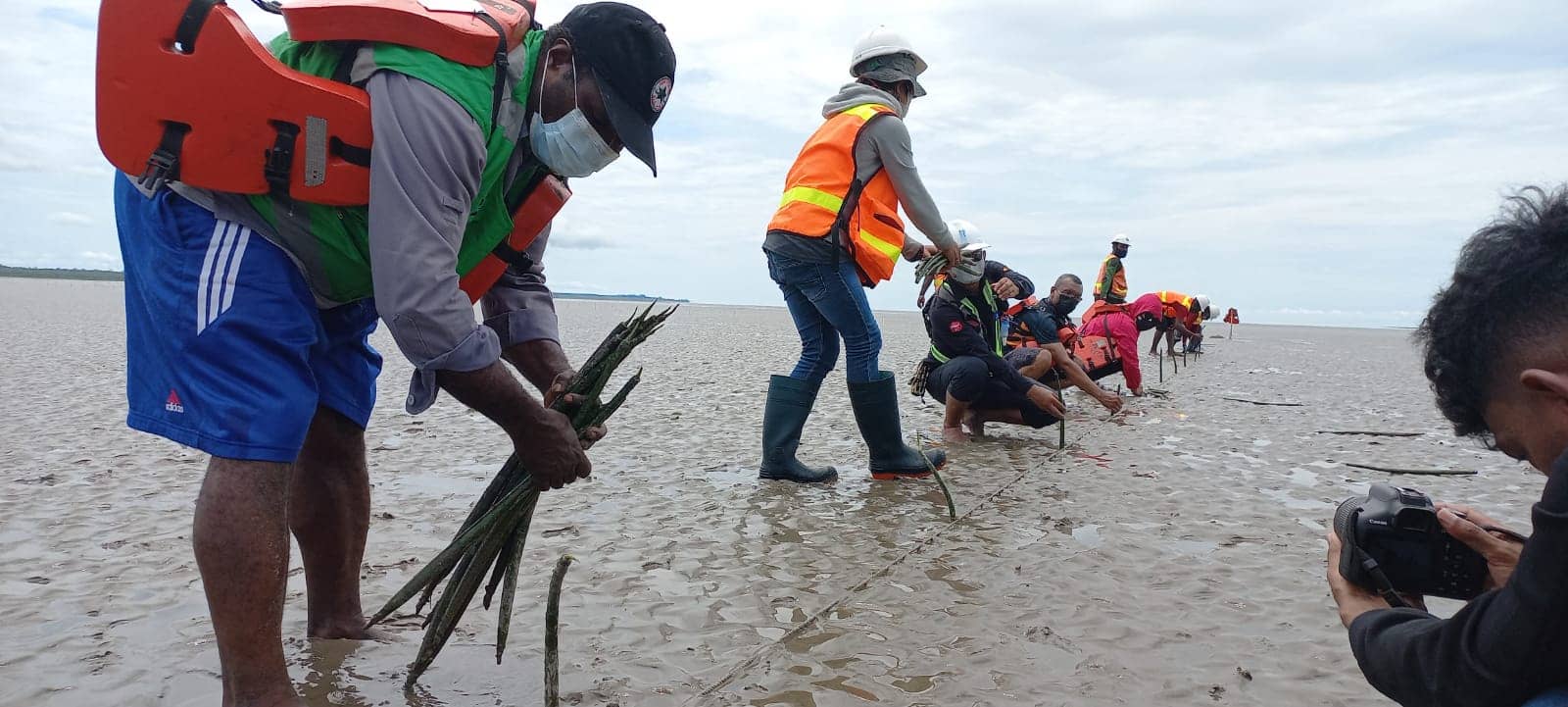 Penanaman mangrove di Pulau Waii
